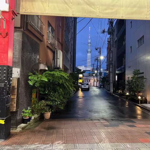 SkyTree from the shopping lanes in Asakusa