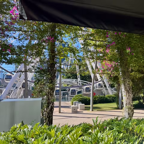 View during brunch