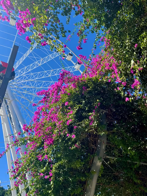 Wheel flowers and such